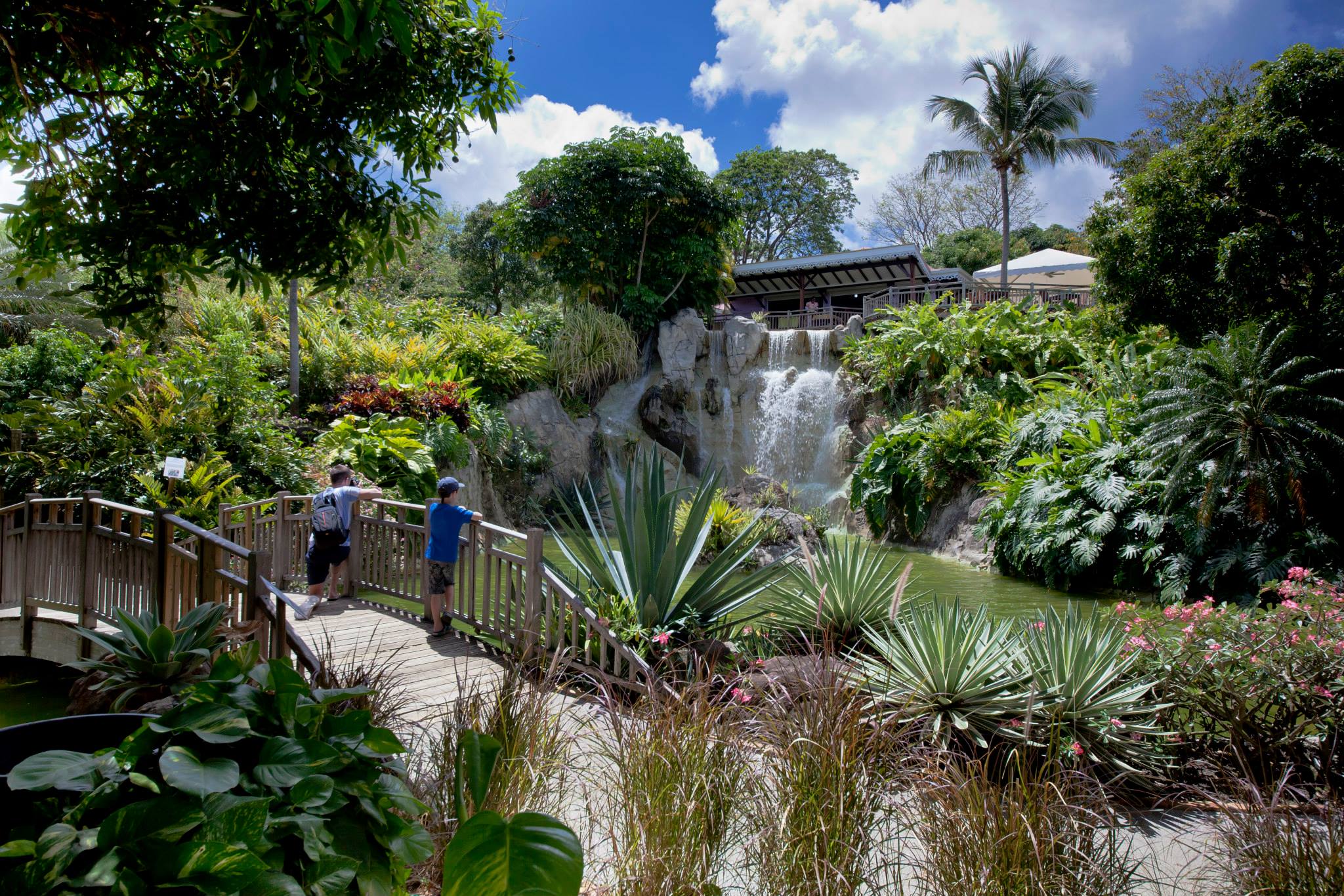 Deshaies Bitanical Garden in Guadeloupe