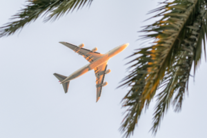 Les compagnies aériennes desservant les Antilles : laquelle choisir pour vos vacances ?