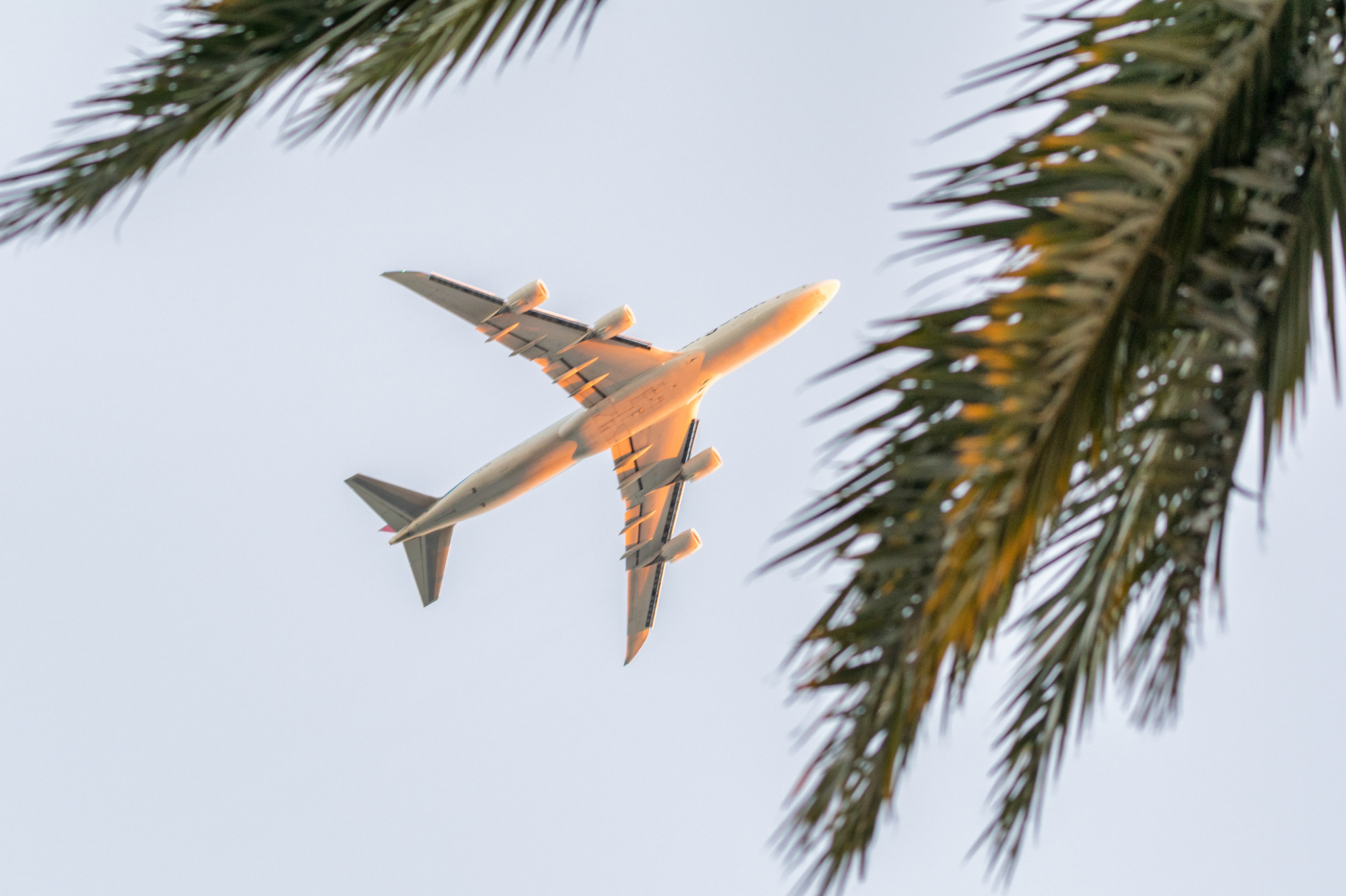 Les compagnies aériennes desservant les Antilles : laquelle choisir pour vos vacances ?