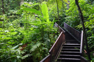 Les meilleures randonnées en Guadeloupe et en Martinique